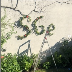 saintege-en-fleurs