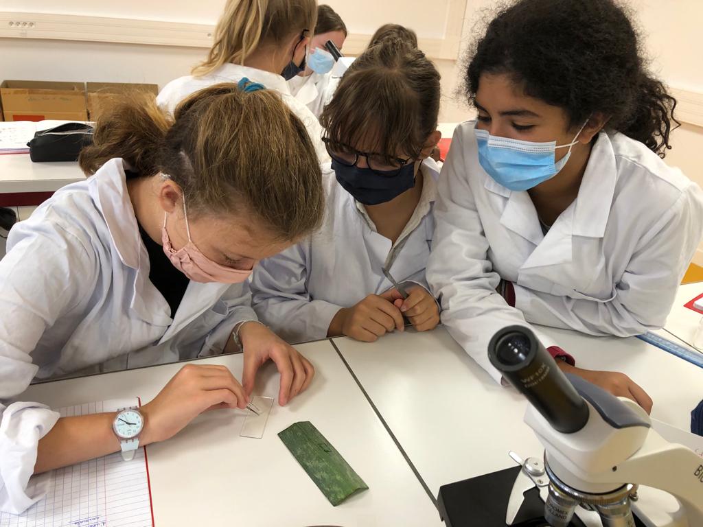 2020-09-22_LABO-SVT-COLLEGE-1