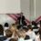 Conférence de Stéphane Blocquaux